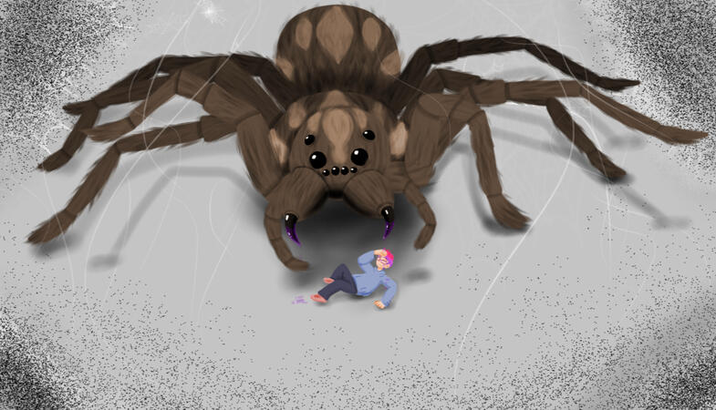 spider
